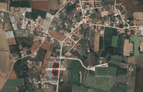 Οικόπεδο στη Φελώνη 4361 τ.μ.